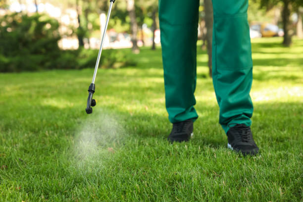 Wildlife Control Services in Diamond Springs, CA