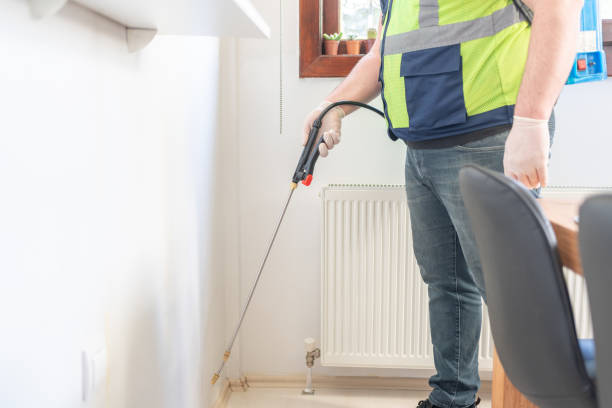 Best Affordable Pest Control Services  in Diamond Springs, CA