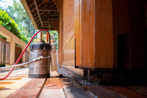 Best Pest Inspection Near Me  in Diamond Springs, CA