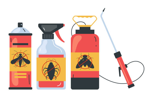 Best Termite Control Services  in Diamond Springs, CA