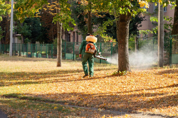 Best Wildlife Control Services  in Diamond Springs, CA